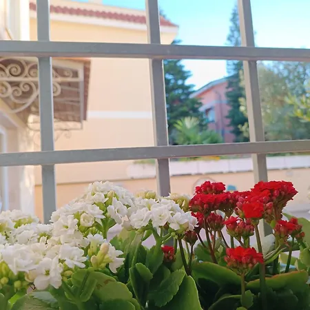 Frühstückspension My